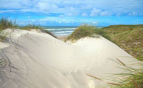 Coast