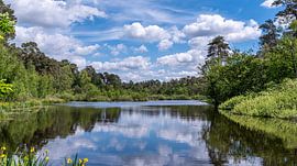 Groot Aderven in Oisterwijk by Els Oomis