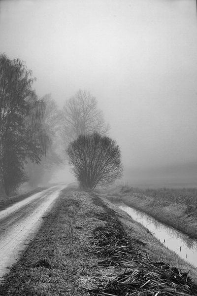 The quiet way by Frank Briske