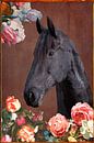 Hoofd van een paard, omringd door bloemen. van Photography art by Sacha thumbnail