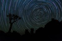 Forêt de Startrailoker, Namibie