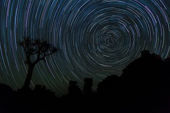 Startrailoker Wald, Namibia