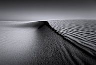Vagues de sable...... par Wim Schuurmans Aperçu