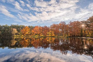 Herfst reflectie van John van de Gazelle