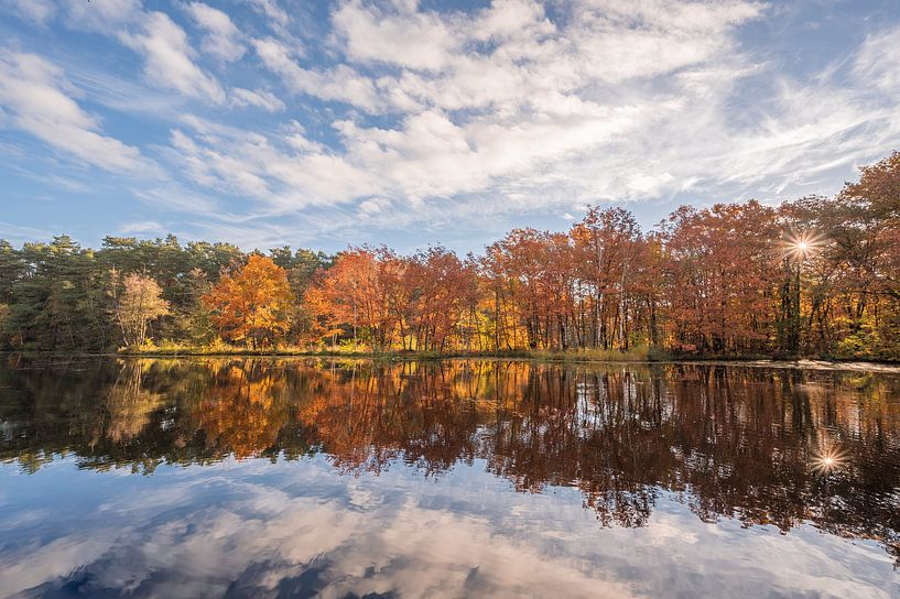Herfst reflectie van John van de Gazelle fotografie