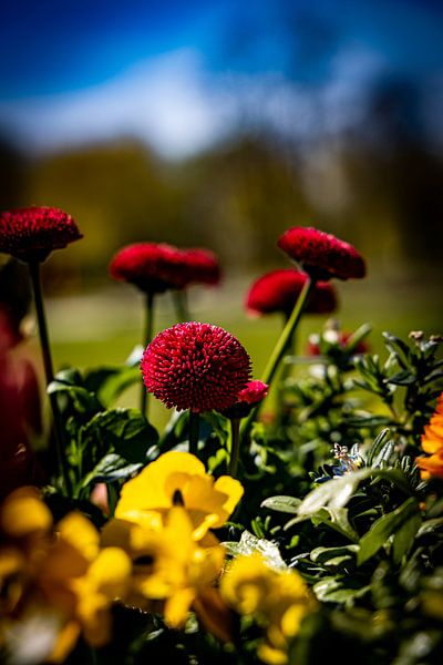 Rathenow &quot;City of Optics by David Krause