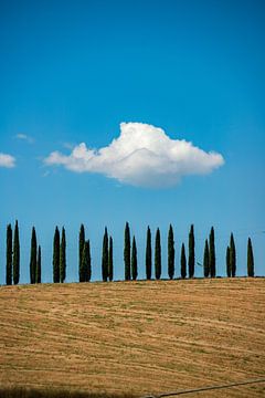 Witte wolk boven het Toscaanse platteland van Leo Schindzielorz