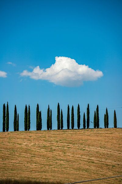 Weiße Wolke über der Toskanischen Landschaft von Leo Schindzielorz