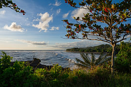 Aperçu de la côte de Bali