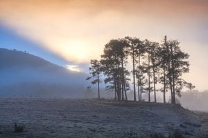 Nebliger Sonnenaufgang in Spanien