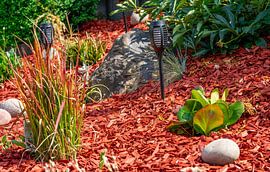 Steingarten mit Steinen und Pflanzen Stillleben