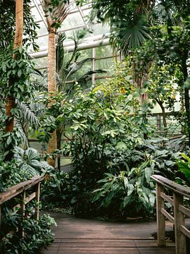 Botanische tuin Brooklyn van Raisa Zwart