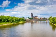 Sommer in Magdeburg von Martin Wasilewski Miniaturansicht