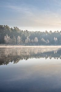 Zonsopkomst aan het water met berijpte bomen