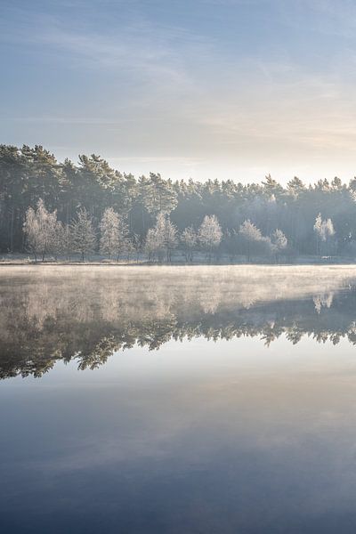 Waterfront sunrise with frosted trees by John van de Gazelle fotografie
