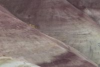 Beschilderde heuvels in het John Day Fossil Beds National Monument bij Mitchell City, Wheeler County