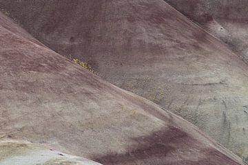 Painted Hills in the John Day Fossil Beds National Monument at Mitchell City, Wheeler County, Northe von Frank Fichtmüller