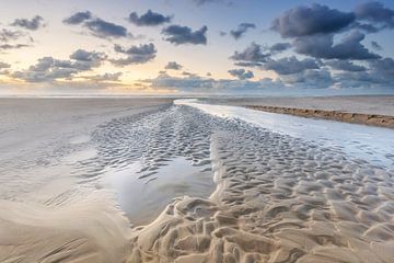 Structures de sable Plage de la mer du Nord Terschelling