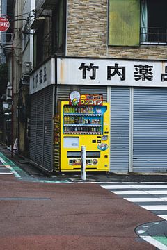 Shinjuku: Een Dynamische Metropool van Vermaak en Zaken in Tokyo van Ken Tempelers