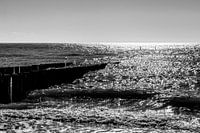 Briller dans les vagues