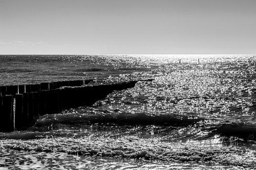 Glistening in the waves