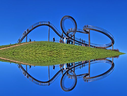 Tiger and Turtle reflection