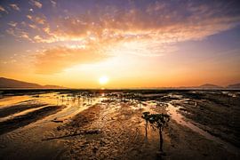 Abschiede kommen nicht gut an von Cho Tang