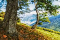 Uitzicht vanaf de Alpe di Neggia in Ticino