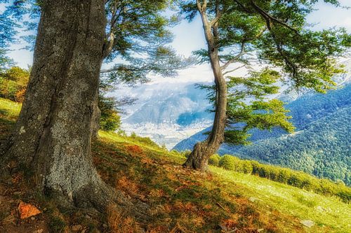 Aussicht von der Alpe di Neggia im Tessin
