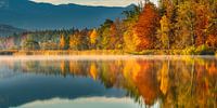 Herfstkleuren