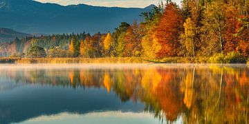 Autumn colours by Denis Feiner