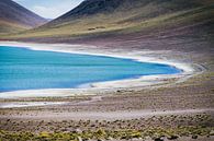 Miscanti Lagune in der Atacamawüste in Chile von Shanti Hesse Miniaturansicht