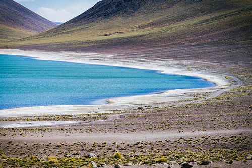 Miscanti Lagune in der Atacamawüste in Chile