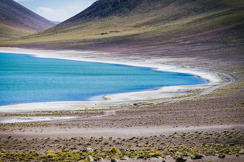 Miscanti Lagune in der Atacamawüste in Chile von Shanti Hesse