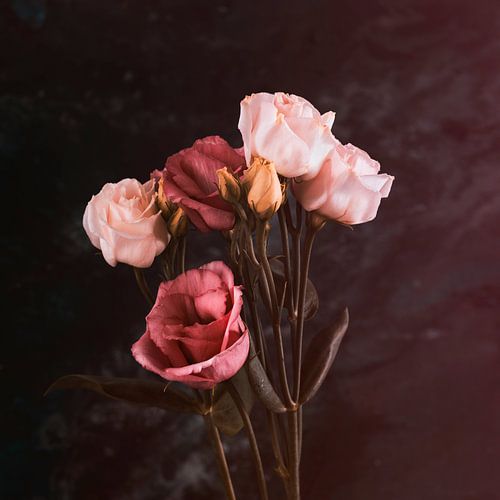 Romantic Roses