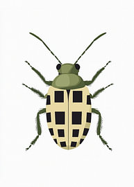 Käfer von mathieu jeu