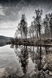 Milton von Henk Leijen