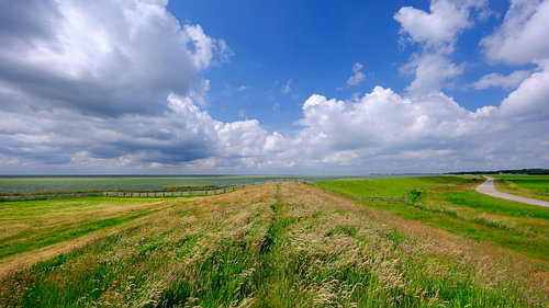 IJsselmeer-Küste