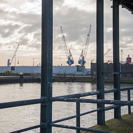 Doorkijkjes in de haven van Zaankanteropavontuur