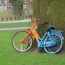 Farbige Fahrräder in Breda von Coco Everts