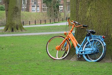 Gekleurde fietsen in Breda van Coco Everts