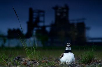 Industrial Revolution