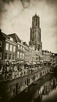 Fish market and the Dom tower