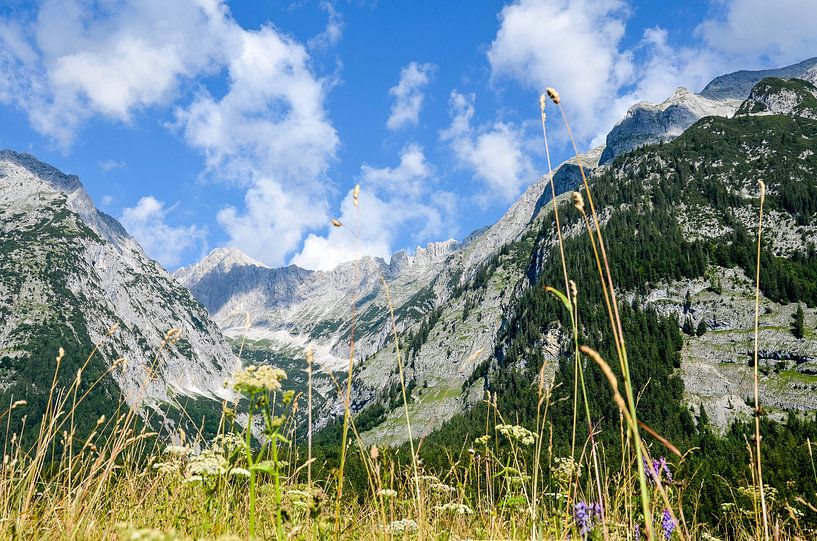 Landscape Austria  von Kunst van Karin