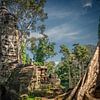 Angkor Wat von Antwan Janssen
