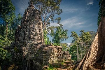 Angkor Wat by Antwan Janssen