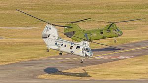 Zwei Boeing Vertol CH-46E Sea Knights.
