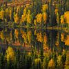 Herfstkleuren in Zweden van Jaap La Brijn
