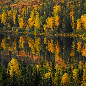Herfstkleuren in Zweden van Jaap La Brijn