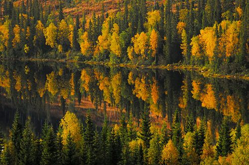 Autumn colors in Sweden by Jaap La Brijn